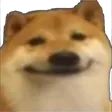 DogSimp