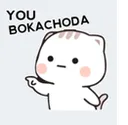 You_Bokachoda