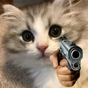 Uc_catgun