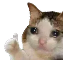 catoki catoki