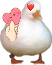 love_duck