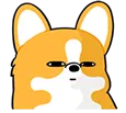 corgiwtf1