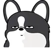 corgiwtf2 corgiwtf2