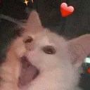 CATAH