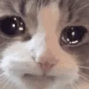 555 555