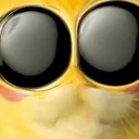 SXE_Catwut Discord Emoji