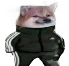 aurbhai