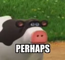 perhaps perhaps