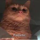 pathetic