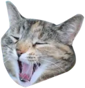 SharkMegalul