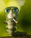 McGrug McGrug