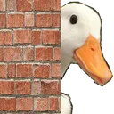 duck_lurker