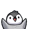 PenguHype PenguHype