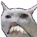 sadcat Discord Emoji