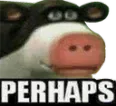 perhaps