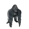 monke_rotate monke_rotate