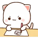p13_notes