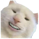 koceng