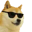 cool_doge