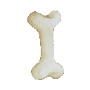 bone