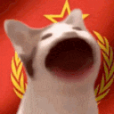 SovietBopCat