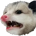 PossumDisgust