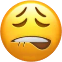 sheesh