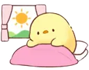 chick_wakeup_gm
