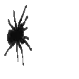 spidercrawl