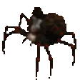 spiderbop