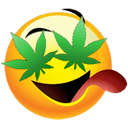 cravin Discord emoji