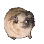 vibin Discord emoji