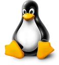 tux tux
