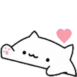 BongocatLove