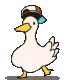 ShubaDuck