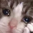 catsad2 catsad2