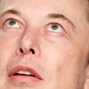 musklookup musklookup