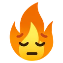 SadgeFire Discord Emoji