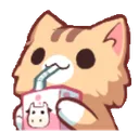 sip sip