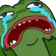 crypepe