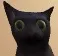 jcat jcat