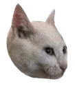 osht