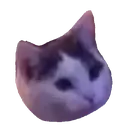 didurlly