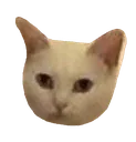 awwcomeon
