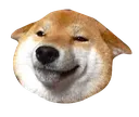 goodboi
