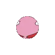 pajaPlanet pajaPlanet