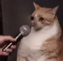 sadspeak