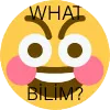 whatbilim