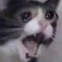 Sad2 sad2 Discord Emoji