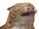 pwease